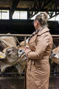 POSESTVO BOGATA foto David Štulc Zornik